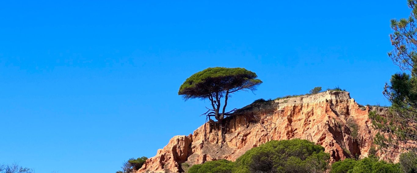 Golf Trainingsreise - Portugal/Algarve - Golfreise Golfreisen mit Matthias Rollwa